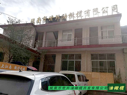 �]���������ϙ칫˾չʾ