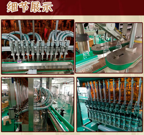 十二頭全自動(dòng)膏液灌裝生產(chǎn)線-膏液體灌裝旋蓋生產(chǎn)線細(xì)節(jié)