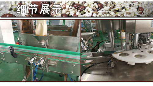 全自動顆粒罐裝包裝生產(chǎn)線細節(jié)