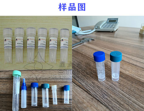 ����ԇ���й��b�C��Ʒչʾ