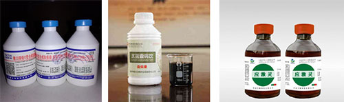 自動液體獸藥灌裝機生產線樣品圖